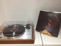 IMG_3204.jpeg IMG_3204.jpeg