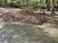 IMG_4199.jpeg