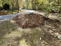 IMG_4198.jpeg
