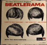 Beatles Hair.jpeg