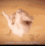 happy-thanksgiving-happy-turkey-day.gif