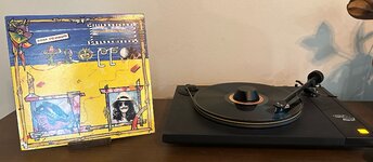 IMG_6819.jpeg