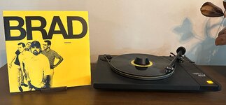 IMG_6821.jpeg