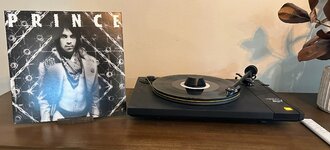 IMG_6823.jpeg