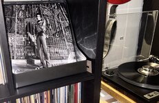 IMG_6073.jpeg