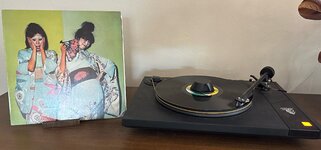 IMG_6849.jpeg