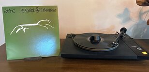 IMG_6850.jpeg