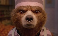 Paddington-2-Stare.jpg