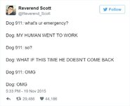 funny-dog-emergency-calls-reverend-scott-1-5760fedc88756__700.jpg