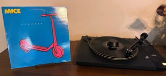 IMG_8360.jpeg