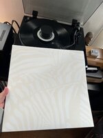 IMG_4301.jpeg