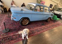 IMG_4303.jpeg