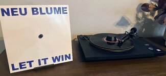 IMG_8361.jpeg