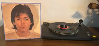 IMG_8363.jpeg