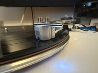 IMG_0611.jpeg