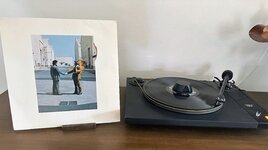 IMG_8369.jpeg