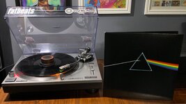 IMG_0207.jpeg