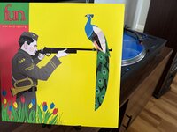 IMG_5225.jpeg