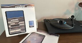 IMG_8377.jpeg