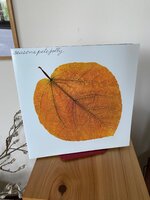 IMG_9016.jpeg