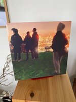 IMG_9017.jpeg