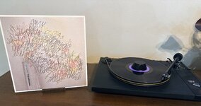 IMG_8383.jpeg