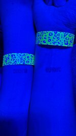 IMG_1379.jpeg