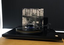 IMG_8848.jpeg