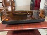 IMG_8273.jpeg