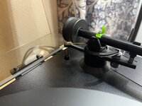 IMG_8257.jpeg