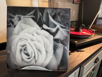 IMG_3861.jpeg