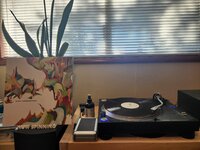 20250505_172040.jpg