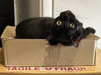 IMG_7553.jpeg