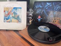 IMG_5303.jpeg
