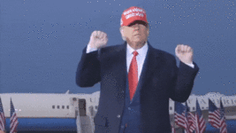 doublefister.gif