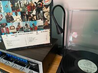 IMG_7783.jpeg