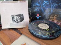 IMG_5323.jpeg