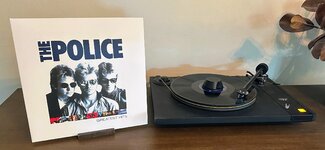 IMG_8408.jpeg