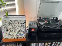 IMG_4346.jpeg
