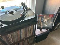 IMG_2728.jpeg