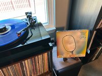IMG_2729.jpeg