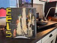 IMG_3901.jpeg