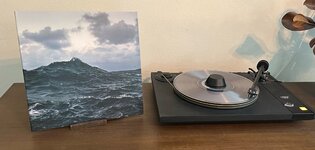 IMG_8421.jpeg