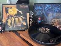 IMG_5408.jpeg