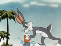 IMG_4251.gif