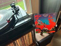 IMG_2739.jpeg