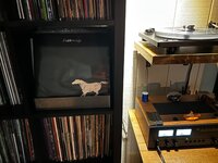 IMG_8497.jpeg
