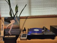 20250514_170554.jpg