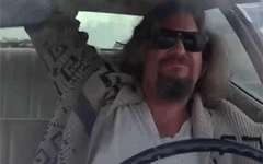 IMG_4367.gif