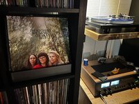 IMG_8500.jpeg